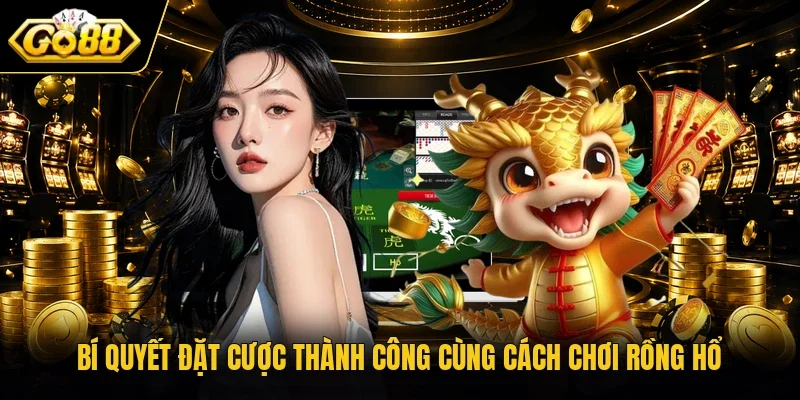 Bí quyết đặt cược thành công cùng cách chơi Rồng Hổ