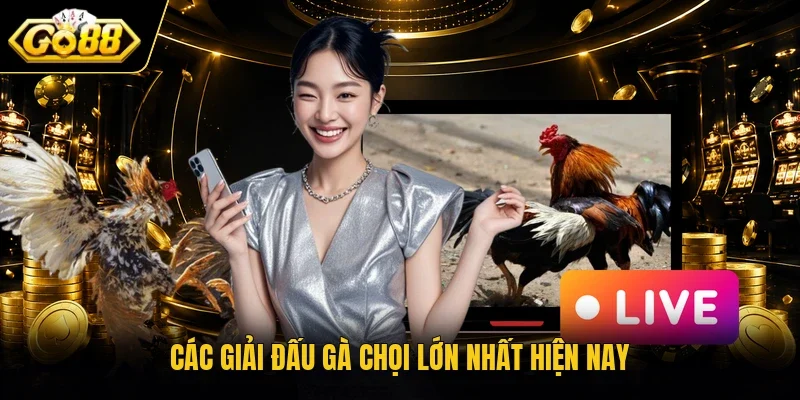 Các giải đấu gà chọi lớn nhất hiện nay