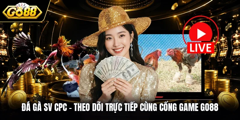 Đá Gà SV CPC - Theo Dõi Trực Tiếp Cùng Cổng Game GO88