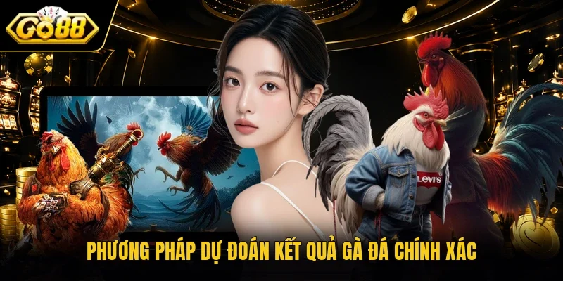 Phương pháp dự đoán kết quả gà đá chính xác