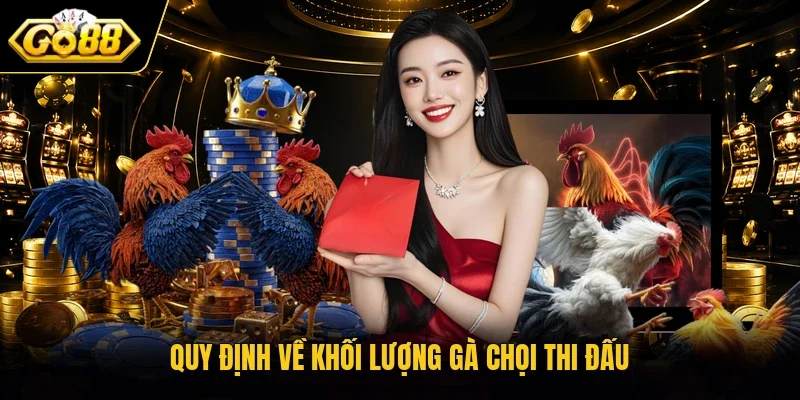 Quy định về khối lượng gà chọi thi đấu